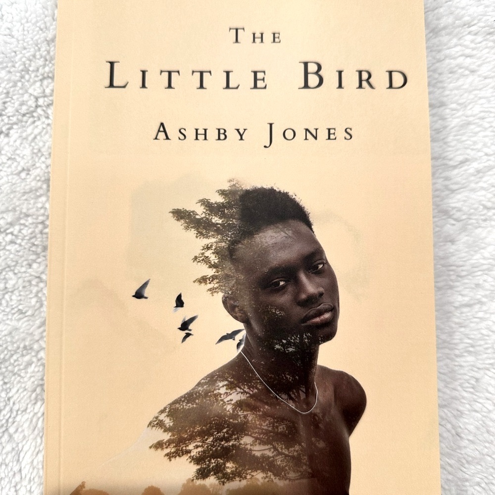 The Little Bird by Ashby Jones